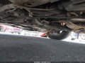 Photo 6 of 16 — 2012 Toyota Prius