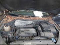 Photo 10 of 16 — 2011 Volkswagen Tiguan
