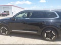 2024 Kia Telluride — photo 14 of 16 | VIN 5XYP34GC1RG505145