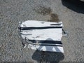 2005 Toyota Tacoma — photo 12 of 19 | VIN 5TETX22N65Z134225