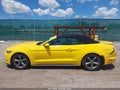 Photo 14 of 16 — 2016 Ford Mustang