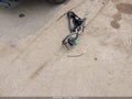 2025 Subaru Outback — photo 12 of 21 | VIN 4S4BTADC6S3268123