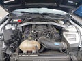 Photo 10 of 16 — 2015 Ford Mustang
