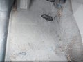 Photo 20 of 21 — 2011 Toyota RAV4