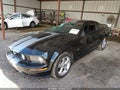 2007 Ford Mustang — photo 2 of 22 | VIN 1ZVHT82H975226804
