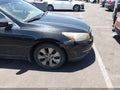 Photo 14 of 16 — 2010 Honda Accord