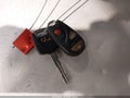1999 Infiniti G20 — photo 11 of 16 | VIN JNKCP11A8XT018162