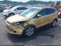 2014 Ford Escape — photo 2 of 19 | VIN 1FMCU0J97EUC44206