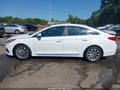 2016 Hyundai Sonata — photo 14 of 16 | VIN 5NPE34AF2GH323356