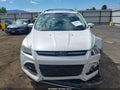 Photo 13 of 17 — 2016 Ford Escape