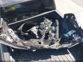 Photo 12 of 21 — 2025 Honda Ridgeline