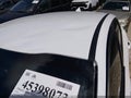Photo 17 of 18 — 2024 Kia K5