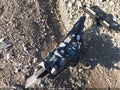 2021 Toyota Corolla — photo 12 of 17 | VIN JTDEPMAE1MJ188479