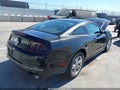 2013 Ford Mustang — photo 4 of 16 | VIN 1ZVBP8AM9D5255353