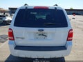 Photo 19 of 19 — 2008 Ford Escape