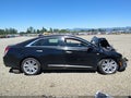 2019 Cadillac XTS — photo 13 of 16 | VIN 2G61M5S33K9125745