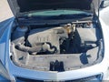 Photo 10 of 11 — 2011 Chevrolet Malibu