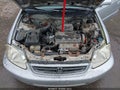 1999 Honda Civic — photo 10 of 15 | VIN 1HGEJ8248XL089408