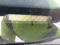 1999 Honda Civic — photo 9 of 15 | VIN 1HGEJ8248XL089408