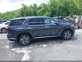 2024 Hyundai Palisade — photo 14 of 20 | VIN KM8R4DGE3RU679560