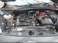 Photo 10 of 17 — 2020 Ford Escape