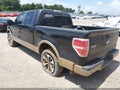 2013 Ford F-150 — photo 3 of 16 | VIN 1FTFW1CF4DKF19268