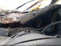 Photo 7 of 12 — 1999 Ford Explorer
