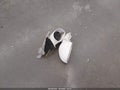 1997 Ford Taurus — photo 12 of 13 | VIN 1FALP52U9VG210770
