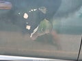 2002 Dodge Ram 1500 — photo 15 of 15 | VIN 1D7HA18N62S687813