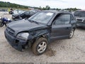2007 Hyundai Tucson — photo 2 of 11 | VIN KM8JM12B57U565436
