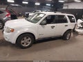 2010 Ford Escape Hybrid — photo 14 of 17 | VIN 1FMCU5K36AKD40583