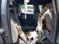 2010 Toyota Tacoma — photo 8 of 10 | VIN 3TMJU4GN7AM099416