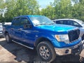 Photo 14 of 17 — 2010 Ford F-150