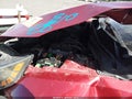 2013 Kia Optima — photo 10 of 15 | VIN 5XXGM4A77DG237188