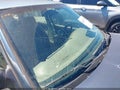 1995 Ford Escort — photo 15 of 15 | VIN 3FASP13J4SR168179
