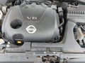 2009 Nissan Maxima — photo 10 of 11 | VIN 1N4AA51E69C800926