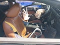 2010 Ford Mustang — photo 5 of 18 | VIN 1ZVBP8CH3A5120929