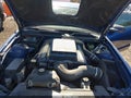 2006 Ford Mustang — photo 10 of 16 | VIN 1ZVFT82H565190955