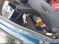 Photo 8 of 14 — 2009 Toyota Yaris