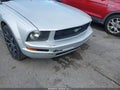 2005 Ford Mustang — photo 12 of 13 | VIN 1ZVHT84N155175640