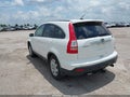 2009 Honda CR-V — photo 3 of 16 | VIN 5J6RE48779L001377