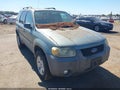 2007 Ford Escape — photo 1 of 11 | VIN 1FMCU59H77KA21865