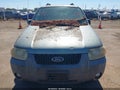 2007 Ford Escape — photo 6 of 11 | VIN 1FMCU59H77KA21865