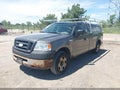 2007 Ford F-150 — photo 2 of 11 | VIN 1FTRF12297NA48197