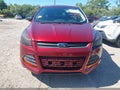 Photo 12 of 18 — 2016 Ford Escape