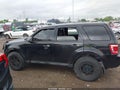 Photo 14 of 16 — 2011 Ford Escape
