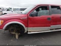 2011 Ford F-150 — photo 6 of 17 | VIN 1FTEW1CM2BFC81193