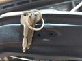 1986 Ford F-150 Lightning — photo 11 of 16 | VIN 1FTEF14N5GPB68749