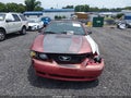 2000 Ford Mustang — photo 11 of 15 | VIN 1FAFP4444YF114611