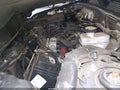 Photo 10 of 15 — 2010 Ford Escape